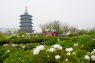 Taman situs arkeologi China catat pertumbuhan pendapatan siginifikan
