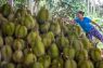 Penjualan durian di China melonjak seiring meningkatnya permintaan