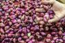 Kenaikan harga bawang merah beri andil inflasi Kota Malang