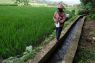 PUPR: World Water Forum angkat peran infrastruktur air bagi pangan