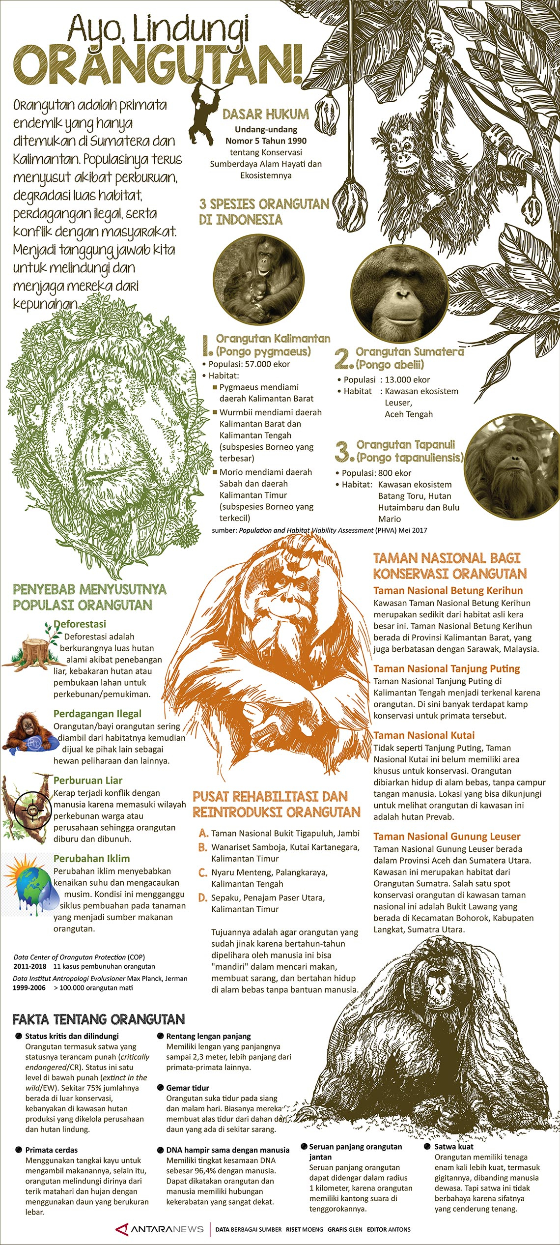 Ayo, Lindungi Orangutan