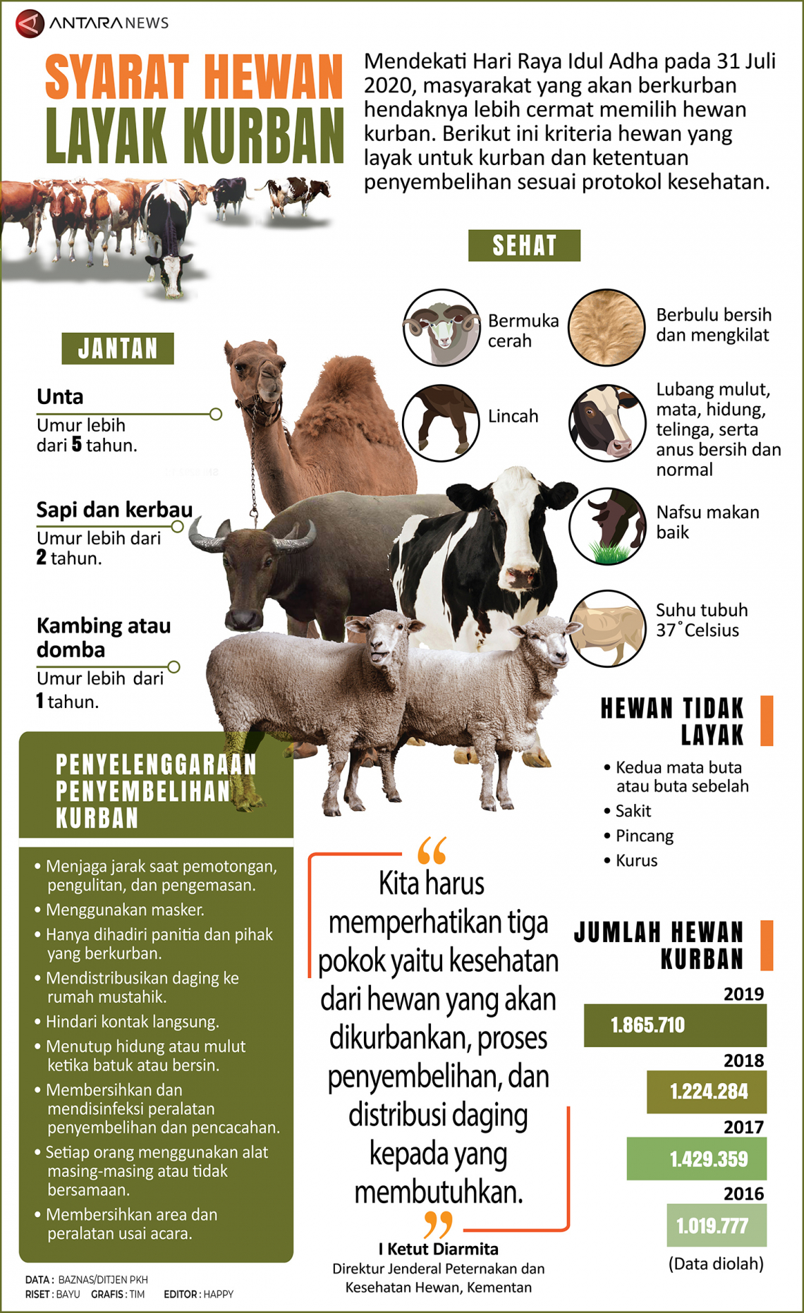 Infografik - Syarat Hewan Layak Kurban - ANTARA News Jawa Timur