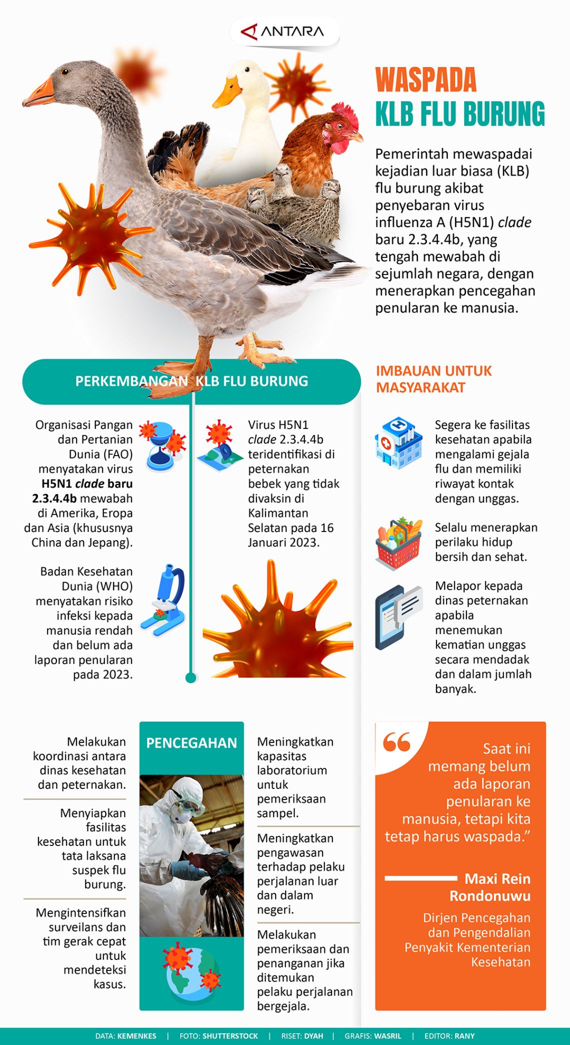 Waspada KLB Flu Burung - Infografik ANTARA News