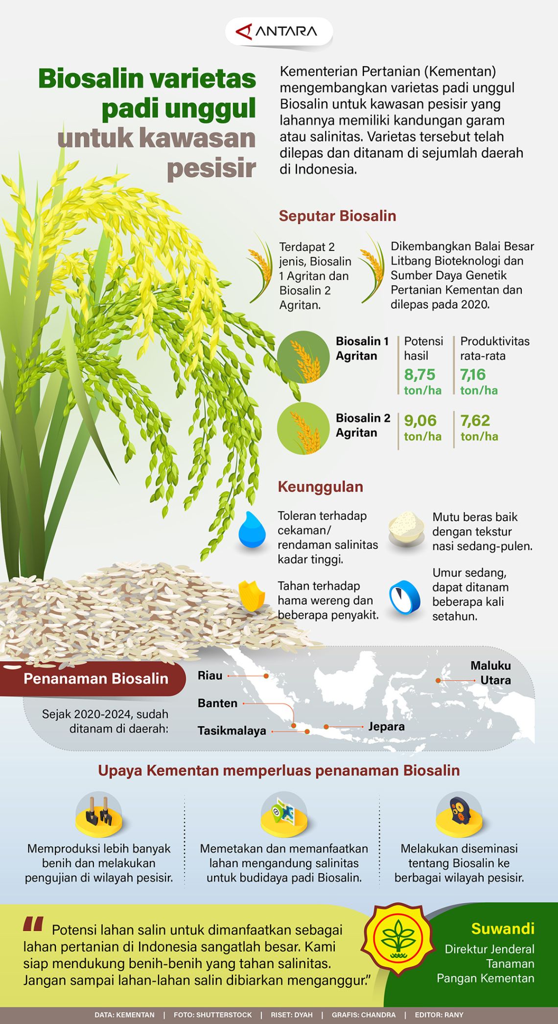 Biosalin varietas padi unggul untuk kawasan pesisir