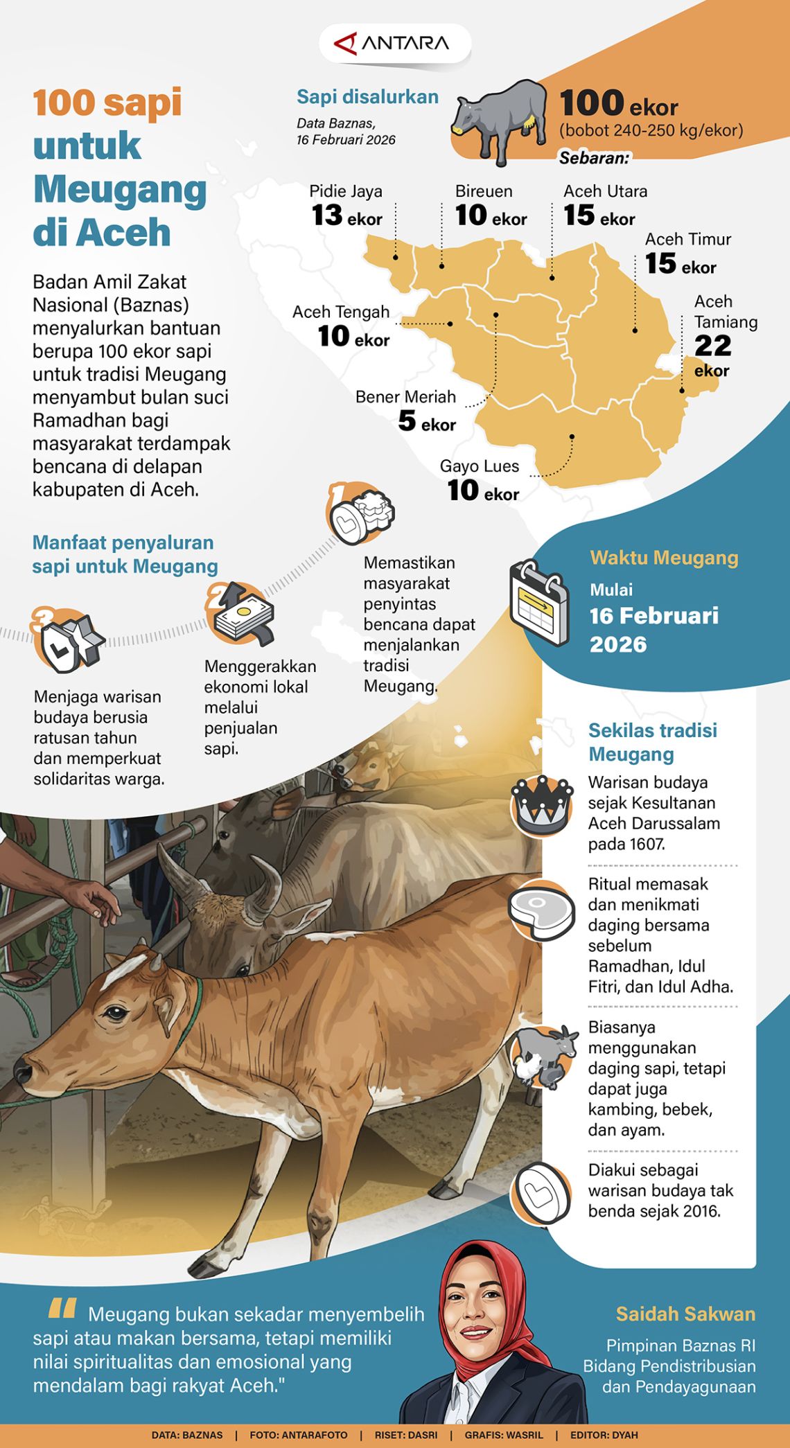 100 sapi untuk Meugang di Aceh