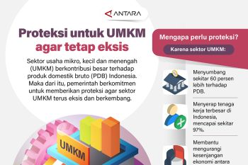 Proteksi untuk sektor UMKM agar tetap eksis