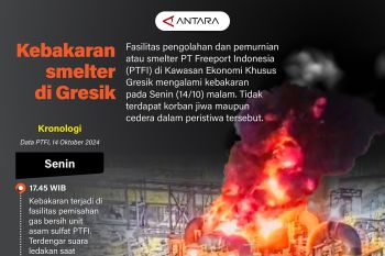 Kebakaran smelter di Gresik