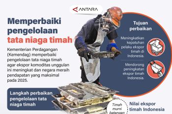 Memperbaiki pengelolaan tata niaga timah