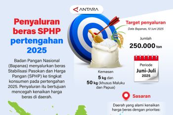 Penyaluran beras SPHP pertengahan 2025