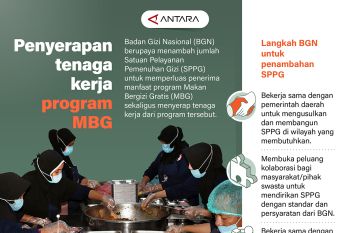 Penyerapan tenaga kerja program MBG