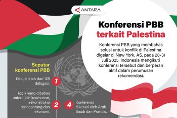 Konferensi PBB terkait Palestina
