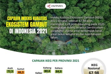 Capaian indeks ekosistem gambut di Indonesia 2021