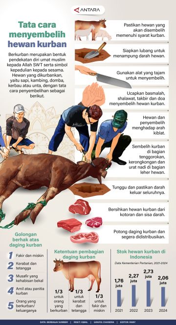 Tata cara menyembelih hewan kurban