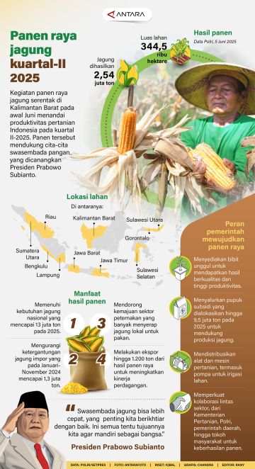 Panen raya jagung kuartal-II 2025