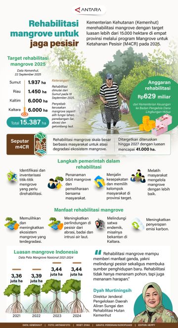 Rehabilitasi mangrove untuk jaga pesisir