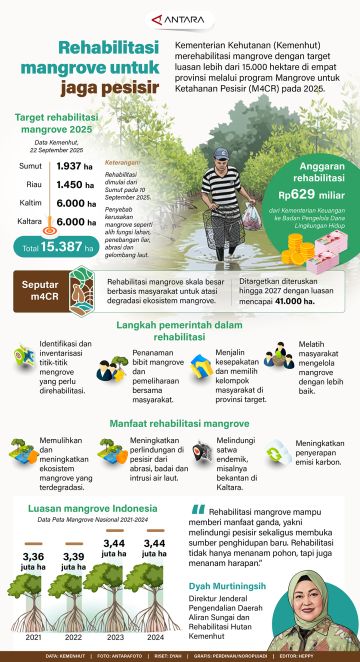 Rehabilitasi mangrove untuk jaga pesisir