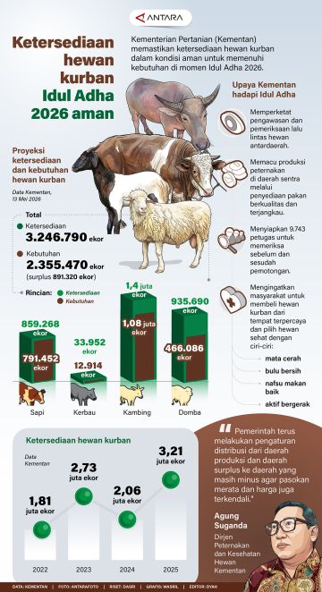 Ketersediaan hewan kurban Idul Adha 2026 aman