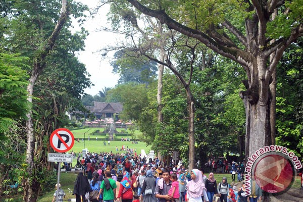 Kebun Raya Bogor edukasi masyarakat menanam pohon