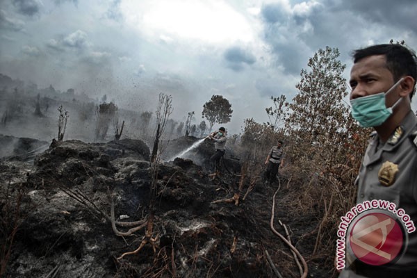 Adu teknologi Indonesia dan asing di lahan gambut