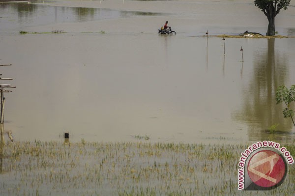 Daerah hilir Bengawan Solo diminta waspada banjir