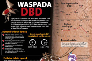 Waspada DBD