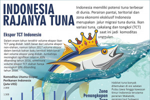 Indonesia rajanya tuna