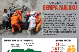 Penanganan dampak gempa Maluku