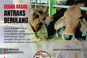 Cegah kasus antraks berulang