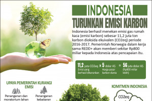 Indonesia turunkan emisi karbon