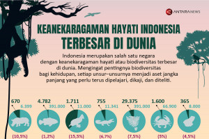 Keanekaragaman hayati Indonesia