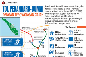 Tol Pekanbaru - Dumai dengan terowongan gajah