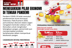 Menegakkan pilar ekonomi di tengah pandemi