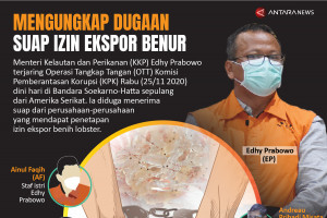 Mengungkap dugaan suap izin ekspor benur