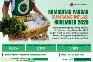 Komoditas pangan sumbang inflasi November 2020