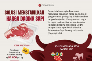 Solusi menstabilkan harga daging sapi