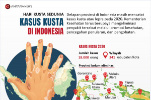 Kasus kusta di Indonesia