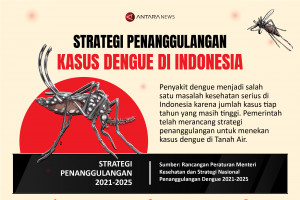 Strategi penanggulangan kasus dengue di Indonesia