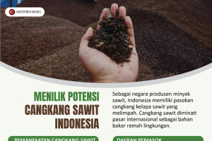 Menilik potensi cangkang sawit Indonesia