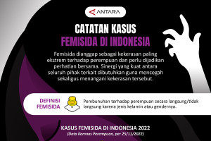 Catatan kasus femisida di Indonesia