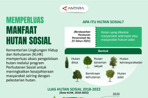 Memperluas manfaat hutan sosial