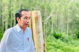 Presiden Jokowi akan Kumpulkan Kepala Daerah se-Indonesia di IKN