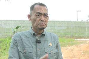 OIKN Siapkan Strategi Pemenuhan Kebutuhan Pangan di IKN