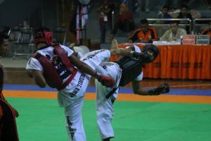 Tarung Derajat Perebutkan 18 Mendali Emas