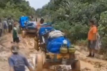 Gerobak Sapi Jadi Alternatif KPU Pesibar Distribusikan Surat Suara ke Wilayah Terpencil