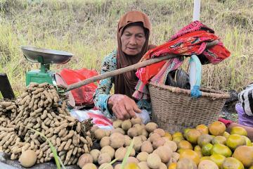 Usia Senja Mbah Suminah, Tetap Bertahan di Tengah Geliat Ibu Kota Baru