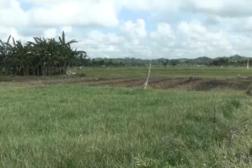 Petani Sekitar IKN Butuh Irigasi yang Andal