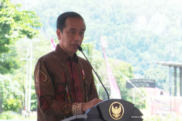 Jokowi: Banyak Potensi Pemuda Papua Belum Tergali