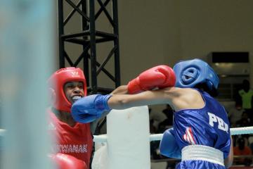 11 Petinju Papua Lolos Semifinal