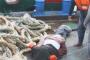 KNKT Mulai Investigasi Tragedi Dumai Expres 10